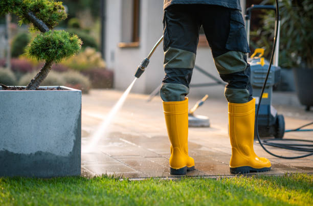Best Best Pressure Washing Companies  in Ransomville, NY